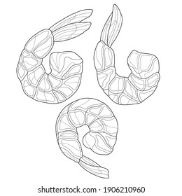 Shrimp.Food.Coloring book antistress adults. Illustration isolated on white background.Black and white drawing