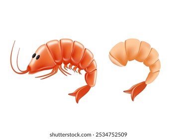 Shrimps 3D-Illustration. ganze Garnelen und eine geschälte Garnele einzeln auf weißem Hintergrund. Cartoon Vektor Illustration von Garnelen für Meeresfrüchte Menüs 3D Illustration