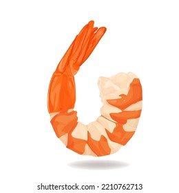 shrimps isolated on a white background. Vector illustration.