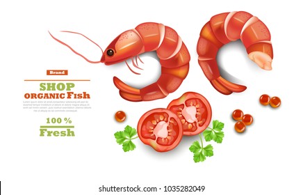 Shrimps isolated on white Vector realistic. 3d detailed illustration. Organic shop templates