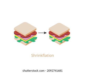 Shrinkflation is the reduction in the size of a product in response to rising production costs or market competition
