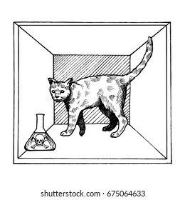 Shroedinger cat in box experiment with poison vector illustration. Interpretation of quantum mechanics. Scientific physical theory. Scratch board style imitation. Hand drawn image.