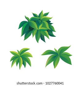 shrub for cartoon isolated on white background