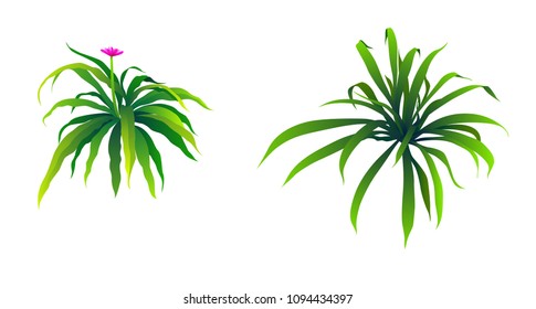 shrub for cartoon isolated on white background