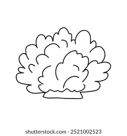 Shrub in doodle style. Vector isolated on white background