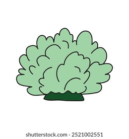Shrub in doodle style. Vector isolated on white background