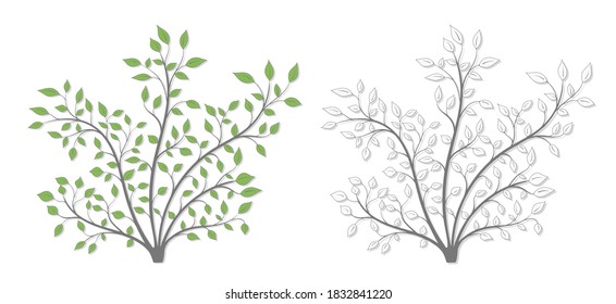 Shrub with green leaves of different shapes with a light shadow in two versions on a white background