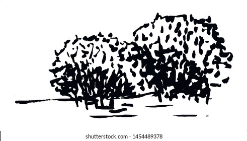 Shrub. Hand drawn black bush, isolated on white background. Simple doodle vector illustration.