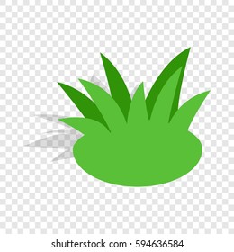 Shrub isometric icon 3d on a transparent background vector illustration
