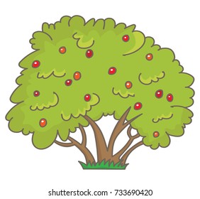 Shrub with red berries