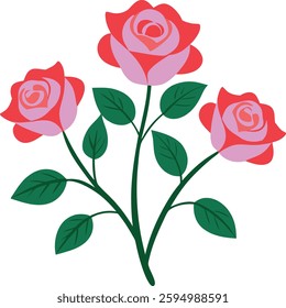 Shrub rose on white background
