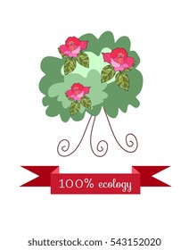 Shrub roses, isolated on white background with red banner. Beautiful styling. Packaging Design for the rose oil, rose petal jam.  Vector illustration.