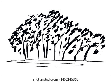 Shrub. Single, hand drawn black bush, isolated on white background. Simple doodle vector illustration.