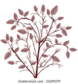 arbusto - árbol con hojas