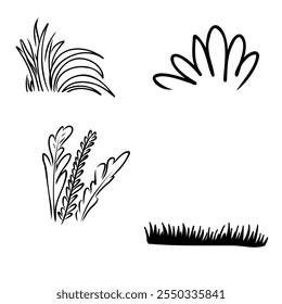 Shrub of various shapes, bush of grass With illustration style doodle and line art