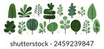 Shrubbery bush hedge simple collage textured vector cartoon illustration. Set of abstract tree shrub, foliage, green tree with texture. Collection of isolated plant silhouette, cute garden eco shape