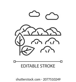 Shrubland linear icon. Scrubland. Bush growing area. Land type with shrub. Dry climate zone. Thin line customizable illustration. Contour symbol. Vector isolated outline drawing. Editable stroke