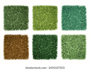 Shrubs collection on white background. Realistic shrubs set on white background