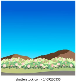 Shrubs grass with flower and mountain background. vector illustration.
