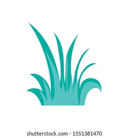 shrubs and leaves on white background vector illustration design