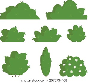 Shrubs. A set of bushes. Greening on the street. Shrubs for the park.