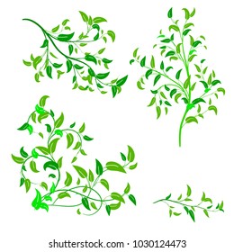 Shrubs, trees, seedlings drawing, vector.