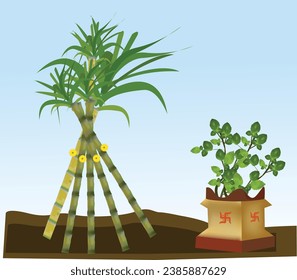  Shubh Tulsi Vivah Hindu Festival Stock Vector