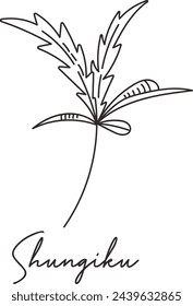 Shungiku Micro Greens Sketch ilustración vectorial