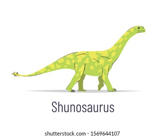 Shunosaurus. Sauropodomorpha dinosaur. Colorful vector illustration of prehistoric creature shunosaurus in hand drawn flat style isolated on white background. Huge fossil dinosaur.
