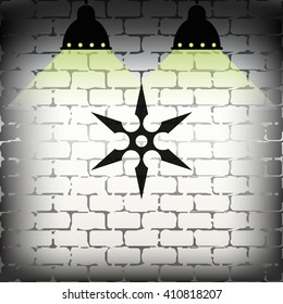 Shuriken flat icon.