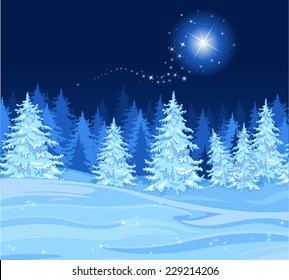 Shutting star over a fir tree forest