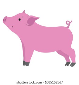 Shy Beautiful Pink Pig Smiling On Stock Vector (Royalty Free ...