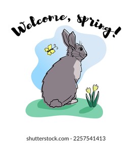 Shy grey hand drawn rabbit with tulips and butterfly. Lettering Welcome spring . Vector isolated illustration, cartoon flat character. Template for greeting card, crafting. Children print design