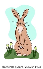 Shy hand drawn beige cartoon rabbit on the green grass with yellow tulips. Vector isolated illustration, cartoon flat character. Greeting card, fashion print. Children print design