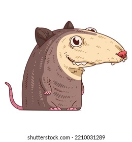 A Shy Possum, isolated vector illustration. Cute cartoon picture of smiling friendly opossum sitting. A drawn animal sticker. Lovely amiable opossum on white background. An animal character