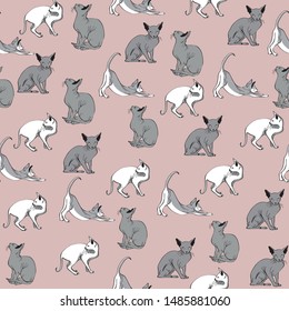 Shypnx cat hand drawing vector pattern seamless
