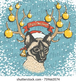Siam cat vector illustration. Cat vector in Santa hat and lettering merry Christmas