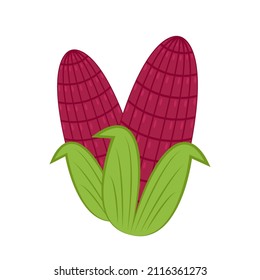 Siam Ruby Queen or Red sweet corn cartoon vector. Red sweet corn on white background.