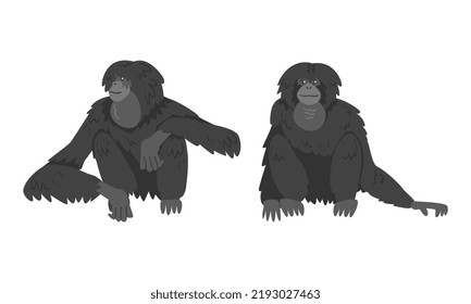 Siamang Monkey As Arboreal, Black-furred Gibbon Vector Set