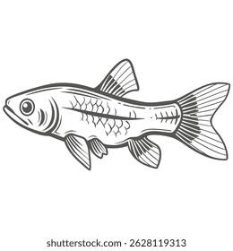 Algas siamesas comedoras de peixes linha de arte ilustração