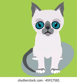 Siamese cat