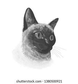 Siamese cat animal cute black and white face. Vector funny happy cat head portrait. Realistic fur portrait of thai kitten isolated on white background.