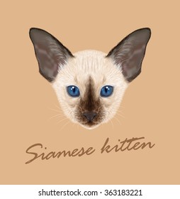 Siamese cat animal cute face. Vector funny oriental kitten head portrait. Realistic fur portrait of siam chocolate point kitty isolated on beige background.