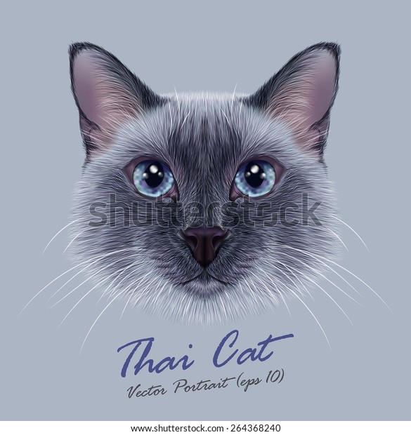 Le Chat De Siamese Mignon Visage Image Vectorielle De Stock Libre De Droits