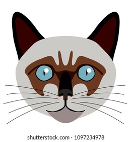 Siamese cat avatar. Cat breeds