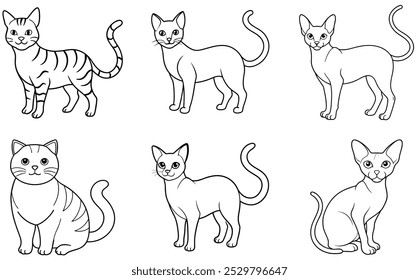 Siamese cat ,Bengal cat,Sphynx cat,Peterbald cat,Donskoy cat,Scottish Fold line art