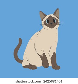 Siamese cat with blue eyes. Isolated flat vector illustration. Cartoon design.