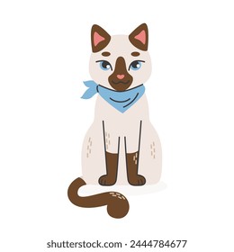 Siamese cat with a blue scarf on his neck sits..Pets,breed.Flat cartoon vector illustration isolated on white background