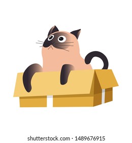 Siamese cat in box, looking up, relaxing or playing isolated animal in open cardboard container vector. Cute pet or domestic mammal, adorable kitten with paws. Whiskers and muzzle, feline species