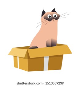 Siamese cat in box, looking up, relaxing or playing isolated animal in open cardboard container vector. Cute pet or domestic mammal, adorable kitten with paws. Whiskers and muzzle, feline species